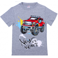 20-1021211 "Buggy" Футболка для мальчика, 4-8 лет, меланж 20-1021211 "Buggy" Футболка для мальчика, 4-8 лет, меланж