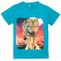 20-103116 "Wolf" Футболка, 8-12 лет, бирюзовый 20-103116 "Wolf" Футболка, 8-12 лет, бирюзовый