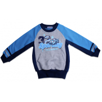 20-49004 "Sporting" Толстовка для мальчика, 2-6 лет 20-49004 "Sporting" Толстовка для мальчика, 2-6 лет