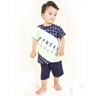 TR-0133-2 Костюм для мальчика, 2-5 лет, салатовый TR-0133-2 Костюм для мальчика, 2-5 лет, салатовый