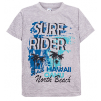 11-580101 "Surf Rider" Футболка для мальчика, 6-9 лет, меланж 11-580101 "Surf Rider" Футболка для мальчика, 6-9 лет, меланж