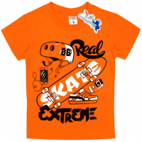 15-480142 "Skate" Футболка для мальчика, 4-8 лет, оранжевый 15-480142 "Skate" Футболка для мальчика, 4-8 лет, оранжевый