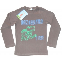 5811-05 "DINOSAURS" Лонгслив, интерлок, 5-8 лет 5811-05 "DINOSAURS" Лонгслив, интерлок, 5-8 лет
